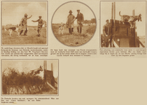 873119 Collage van 4 foto's betreffende de training van Duitse herdershonden door de Onderlinge Dressuurclub Utrecht, ...